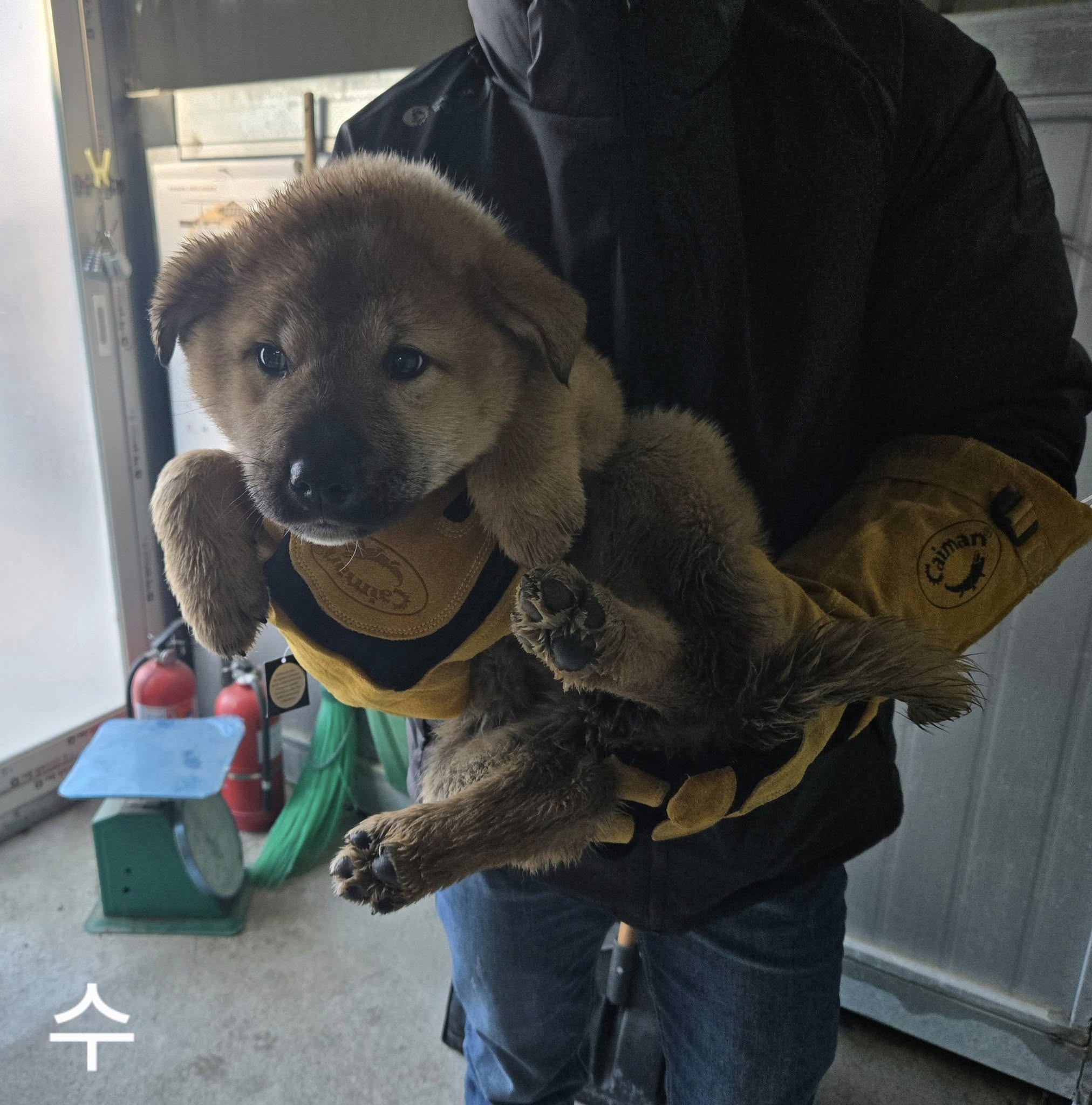 화천군농업기술센터_442431202500003